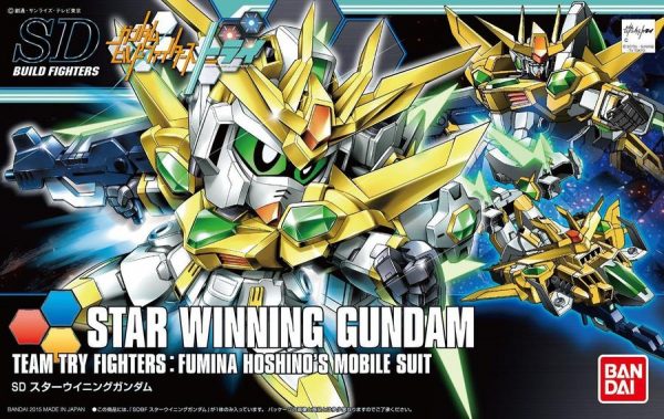 High Grade Star Winning Gundam Box