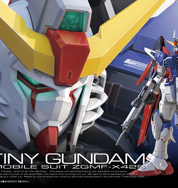 Real Grade ZGMF-X42S Destiny Gundam Box