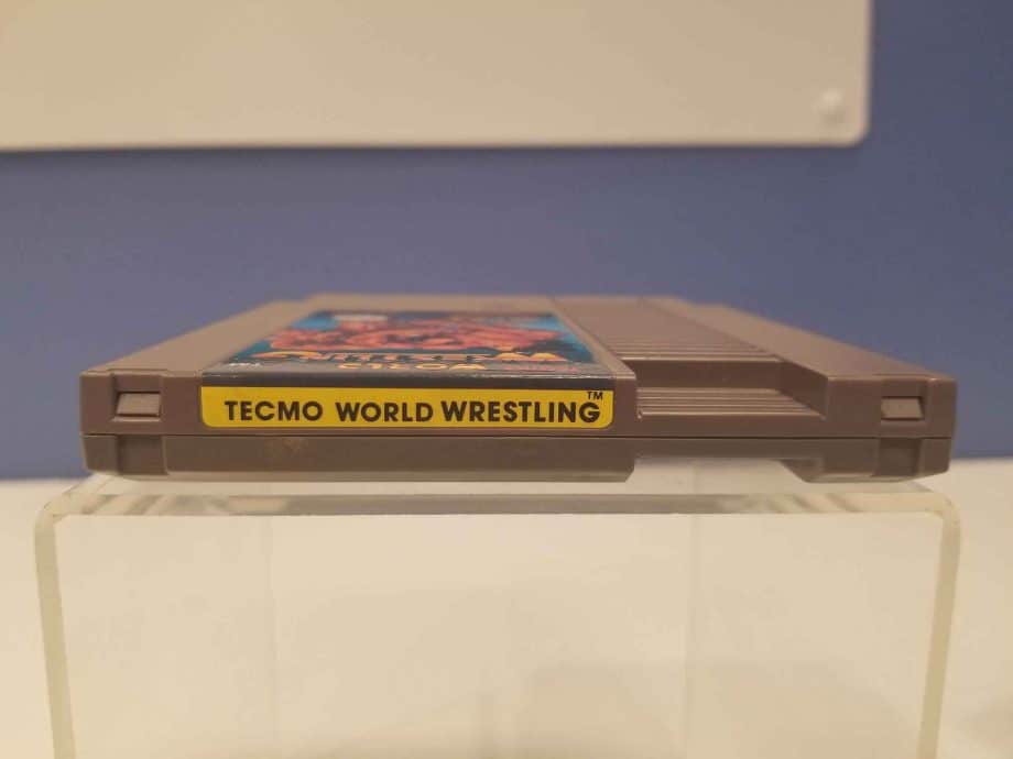 Tecmo World Wrestling