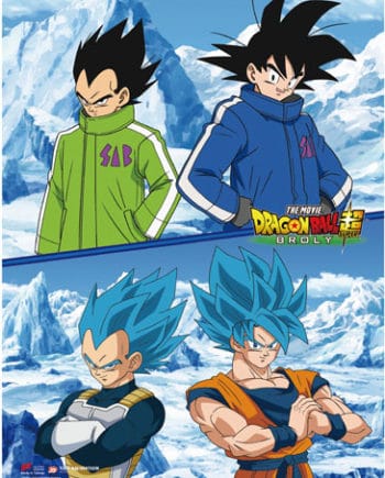 Goku & Vegeta Wall Scroll