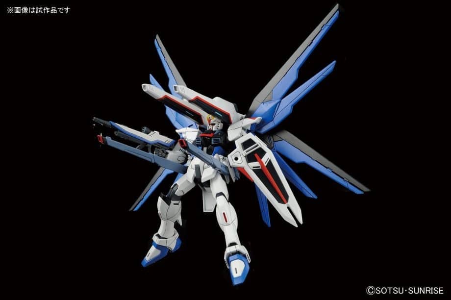 High Grade Freedom Gundam Pose 2