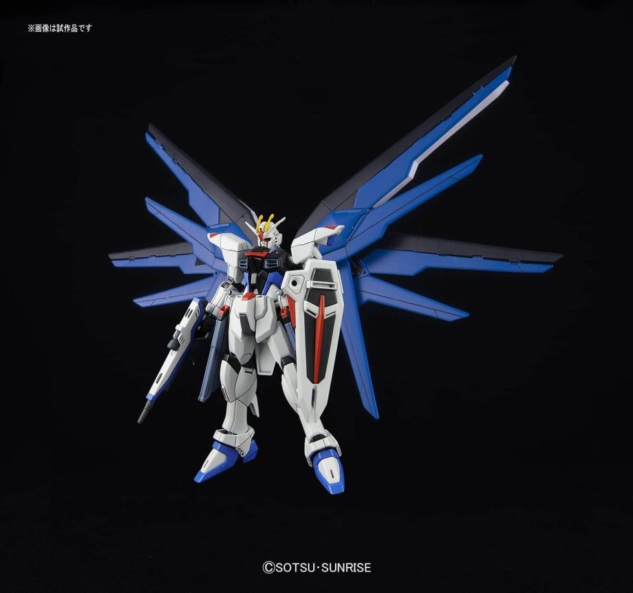 High Grade Freedom Gundam Pose 1