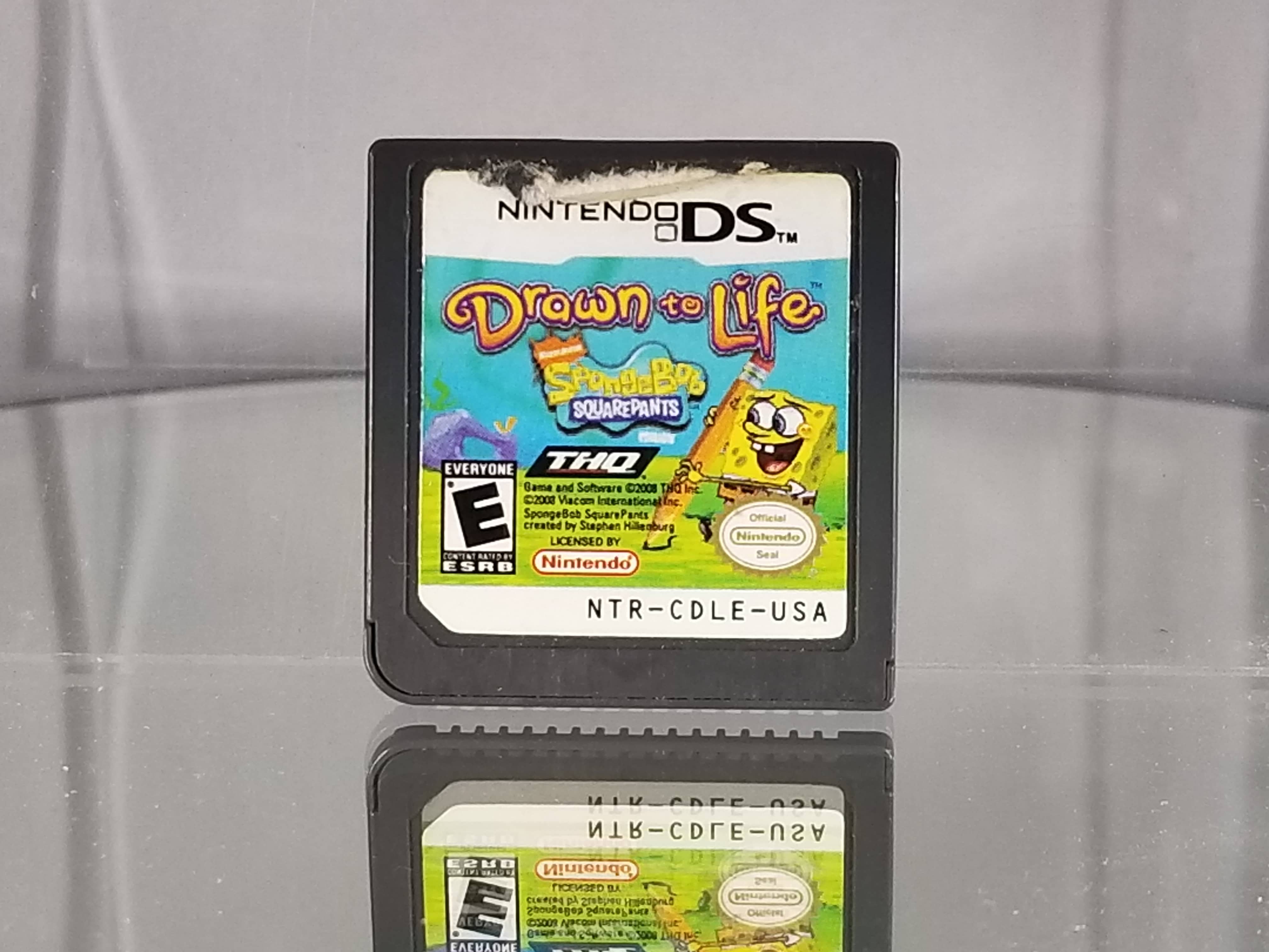 Drawn to Life - Nintendo DS, Nintendo DS