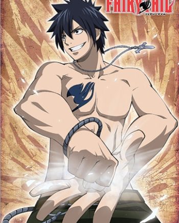 Fairy Tail Gray Wall Scroll Version 2