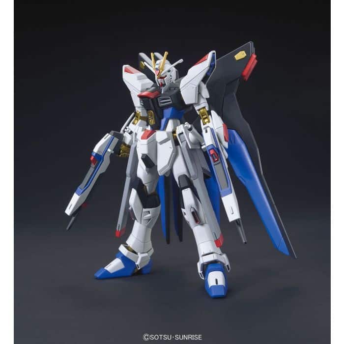 High Grade Strike Freedom Gundam Pose 2